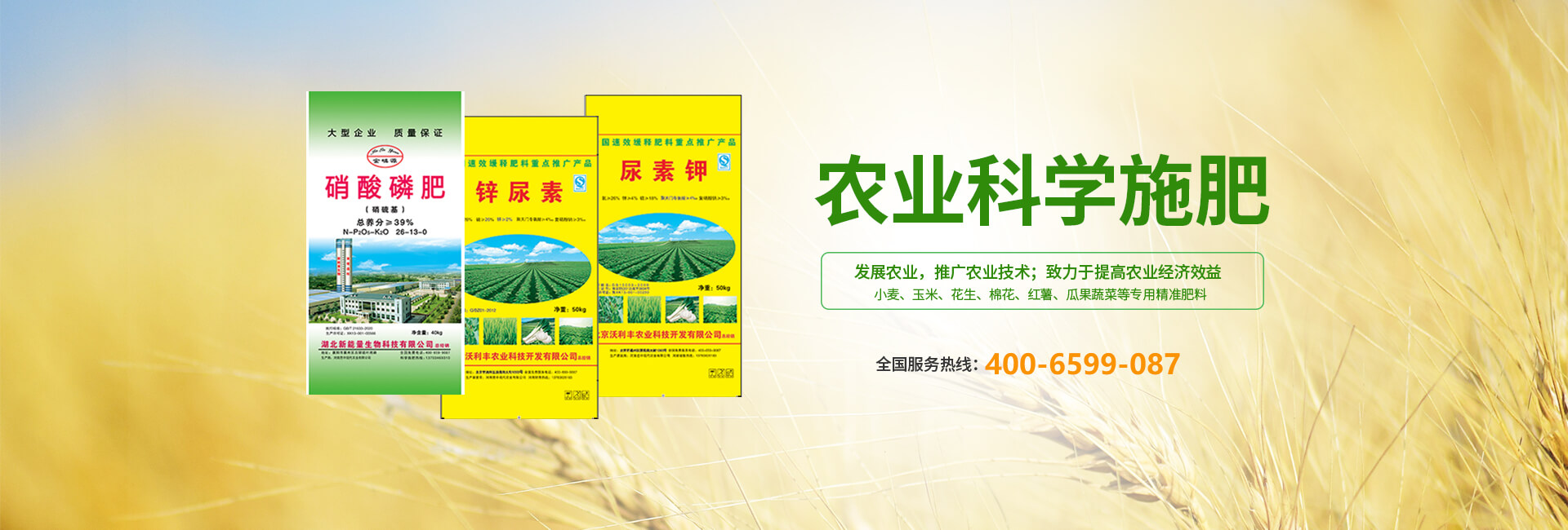 华球平台