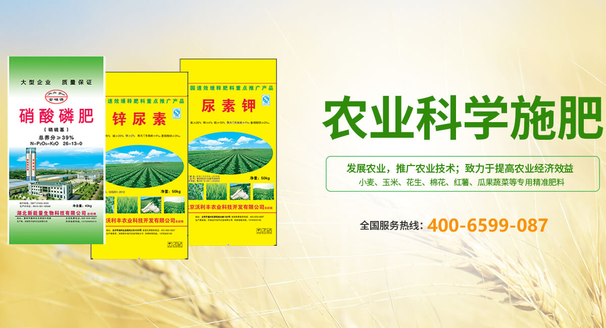 华球平台